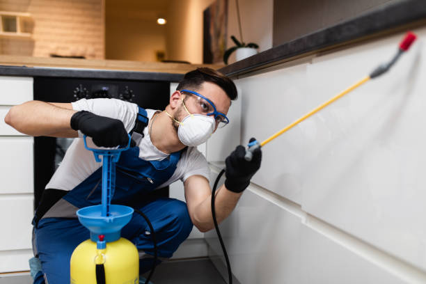 Trusted West Freehold, NJ Pest Control Experts
