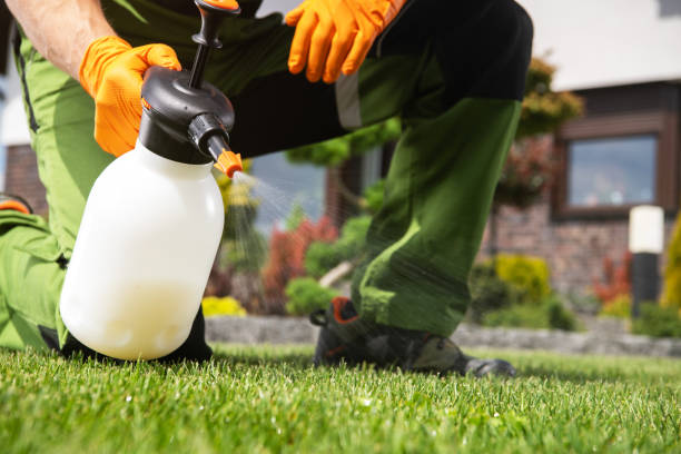 Best Pest Removal Services  in West Freehold, NJ