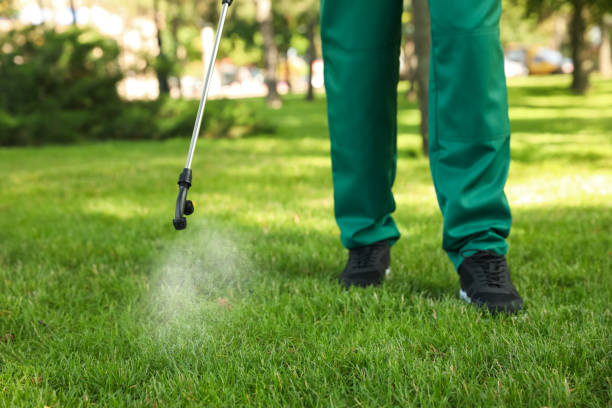 Best Rat Extermination Near Me  in West Freehold, NJ
