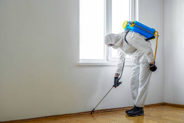 Best Wasp Removal Services  in West Freehold, NJ