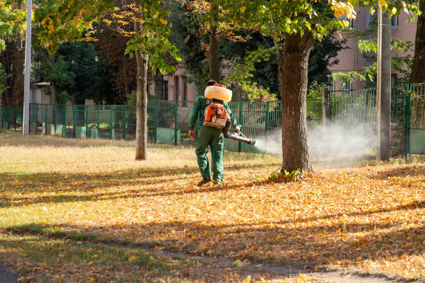 Spider Control Near Me in West Freehold, NJ