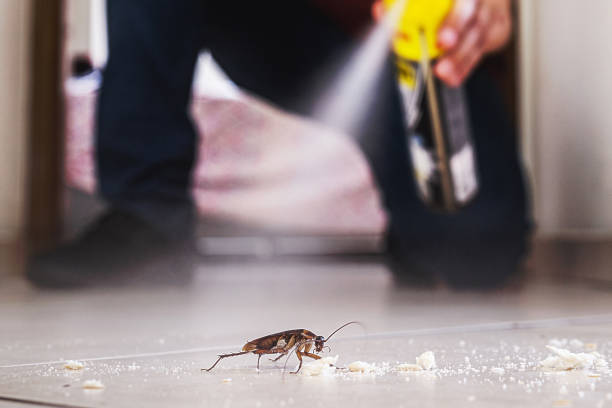 Insect Control in West Freehold, NJ