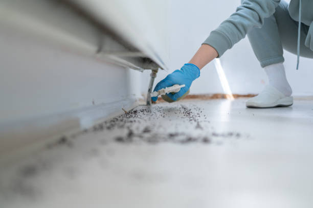 Best Pest Control for Homes  in West Freehold, NJ